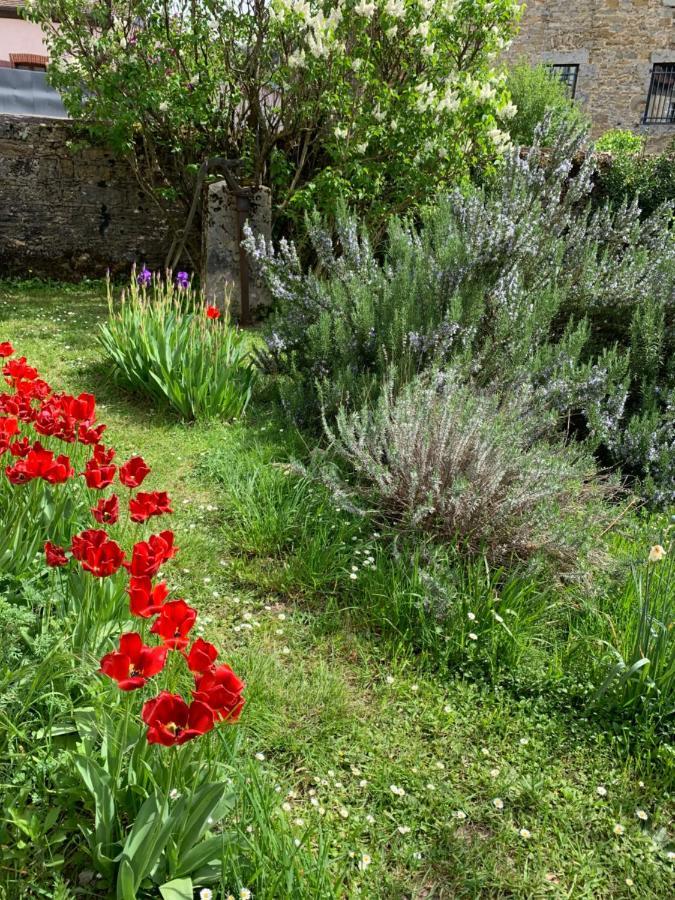 Grands De Charme: Peaceful Garden Retreat In Apartment *